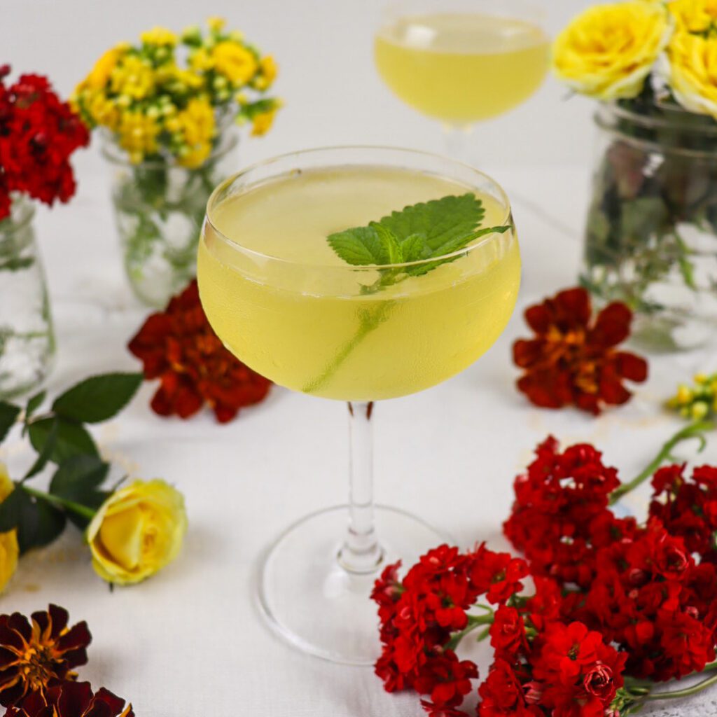 midsummer cocktail,
lemon balm