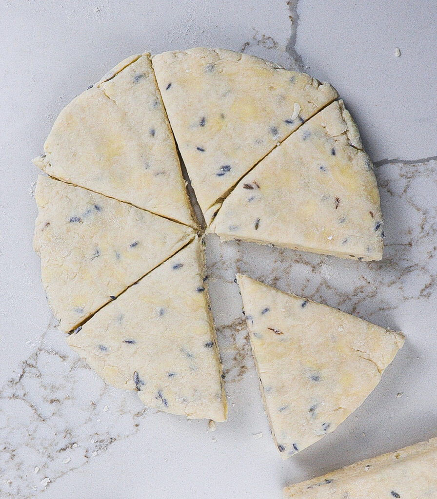 lavender scones
cream scones