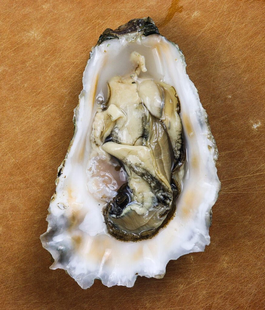 baked oysters with vermouth, a christmas carol dinner menu