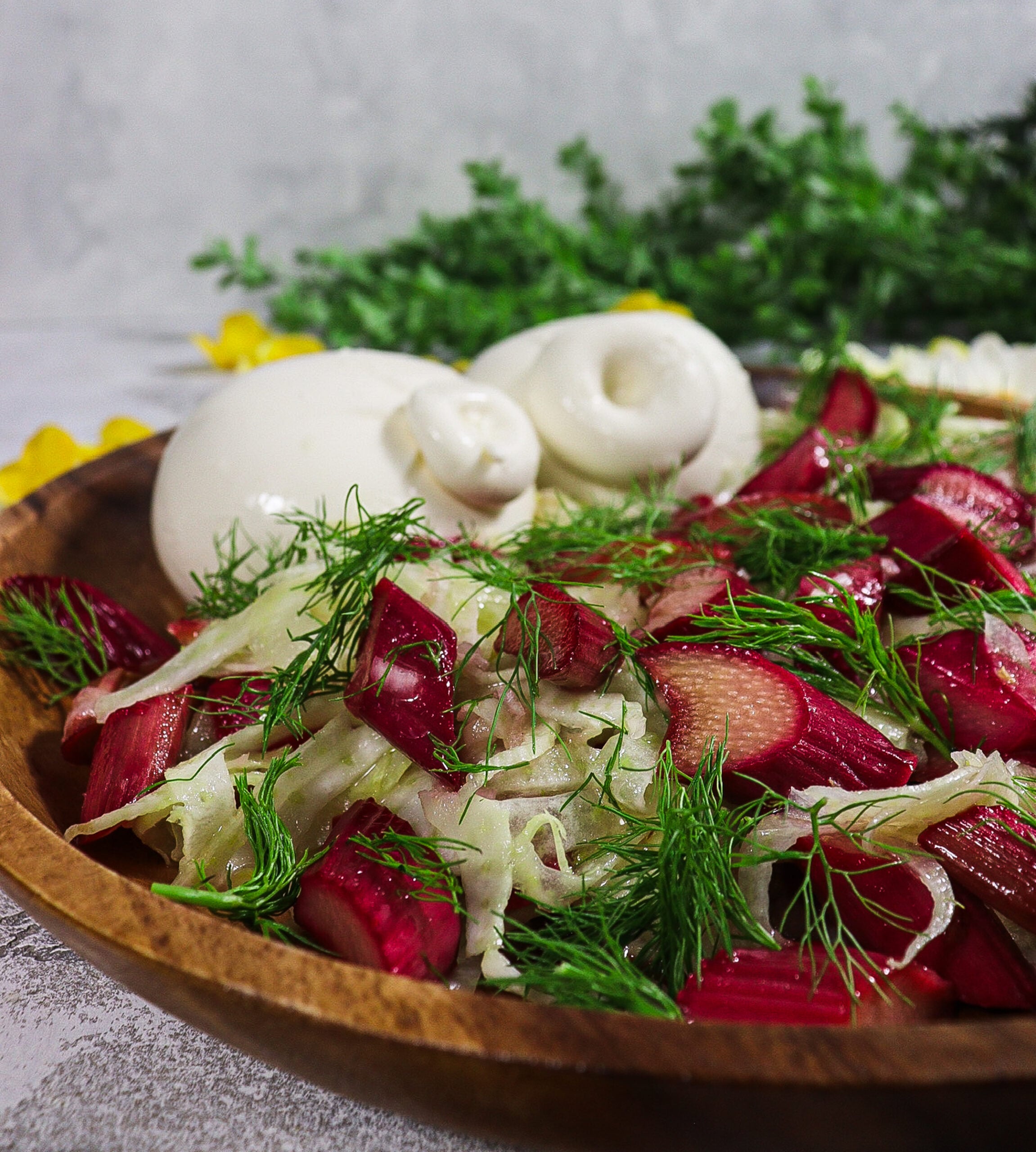 Roasted Rhubarb Fennel Salad with Burrata
