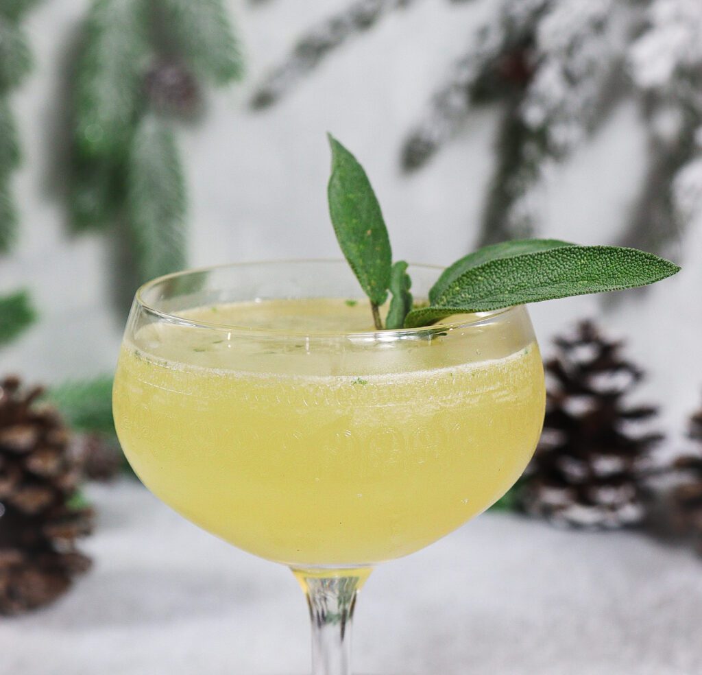 honey sage cocktail, winter gin cocktail recipe