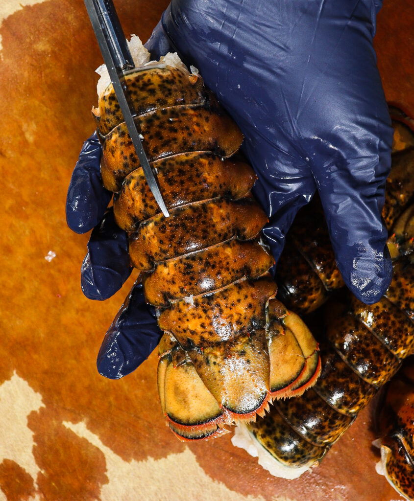 butter poached lobster tails