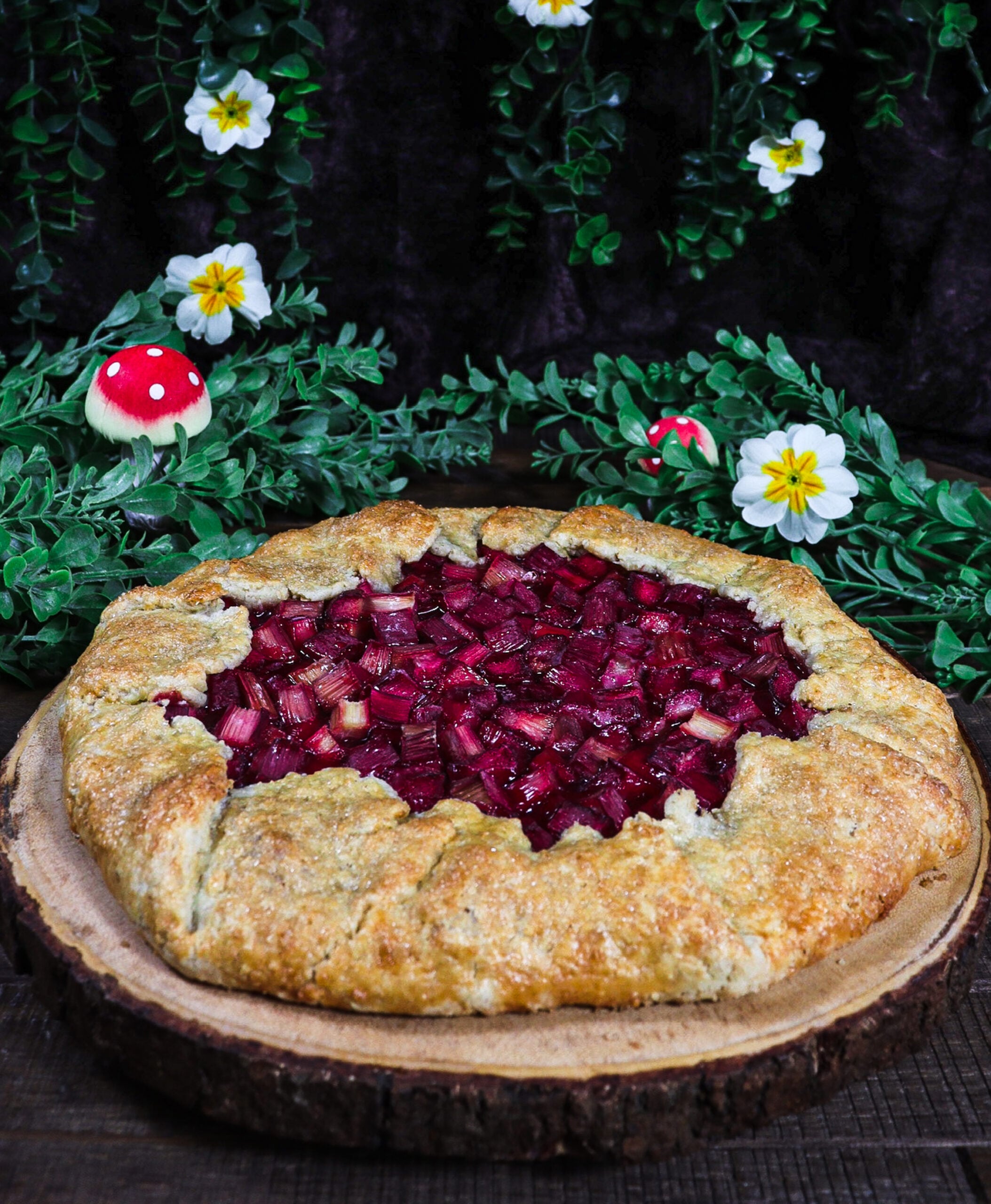 Rhubarb Tart with Oat Crust