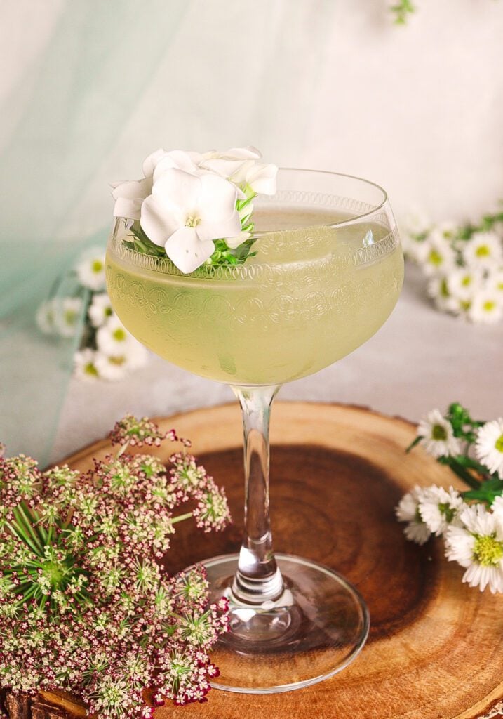 botanical gin cocktails, fantasy drink recipes