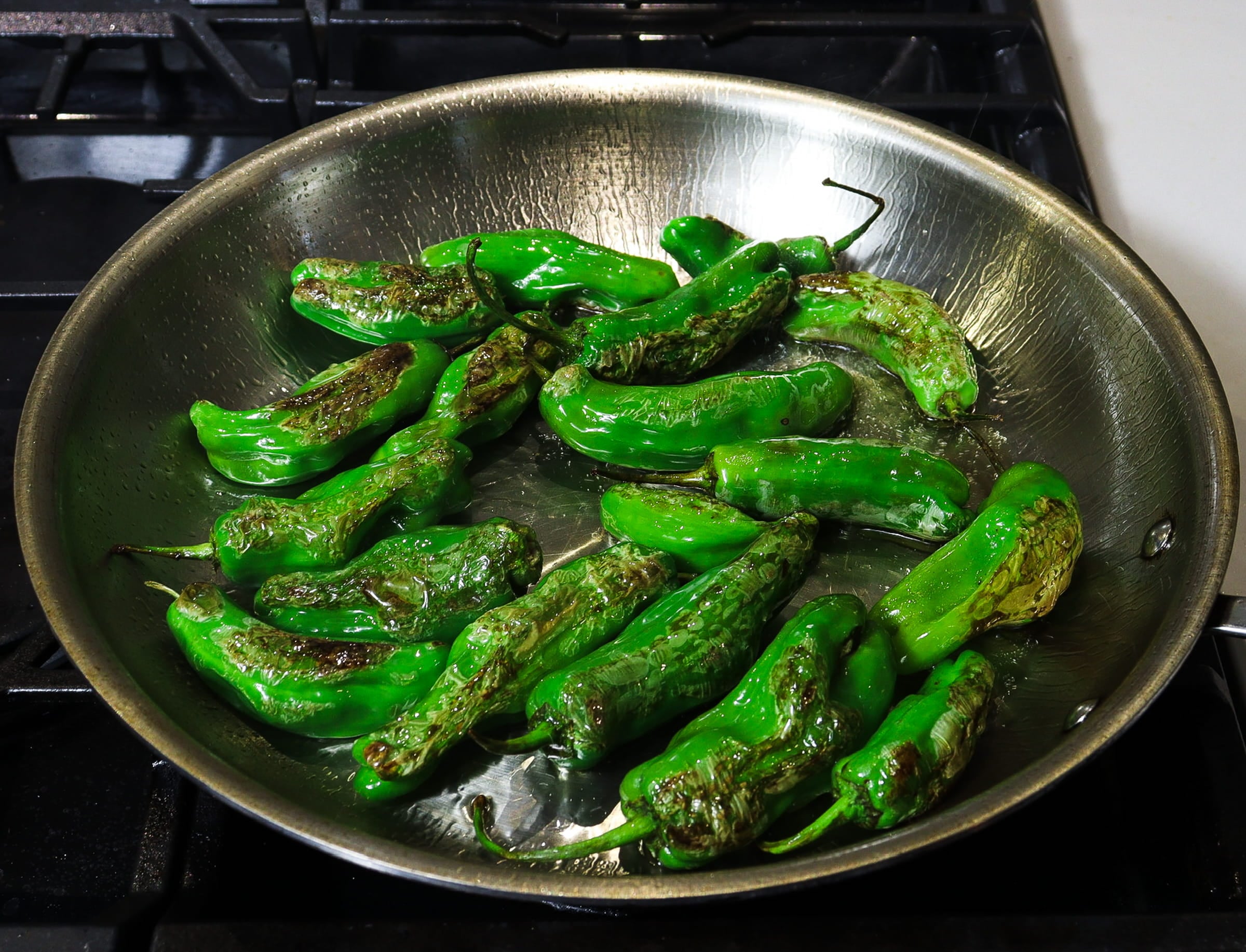 recipes with shishito peppers, blistered peppers