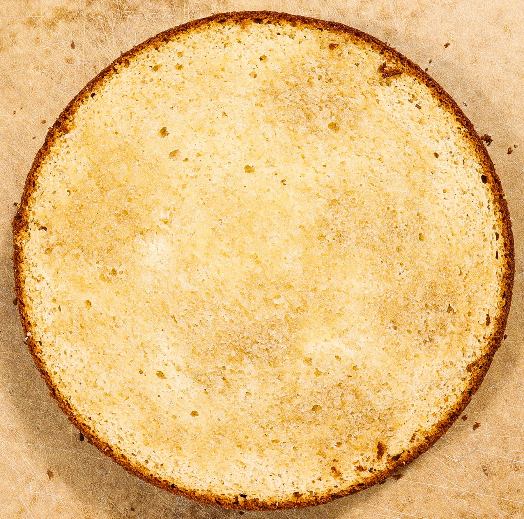 meadowsweet cream cake layer, sliced in half and soaked in meadowsweet infused honey syrup