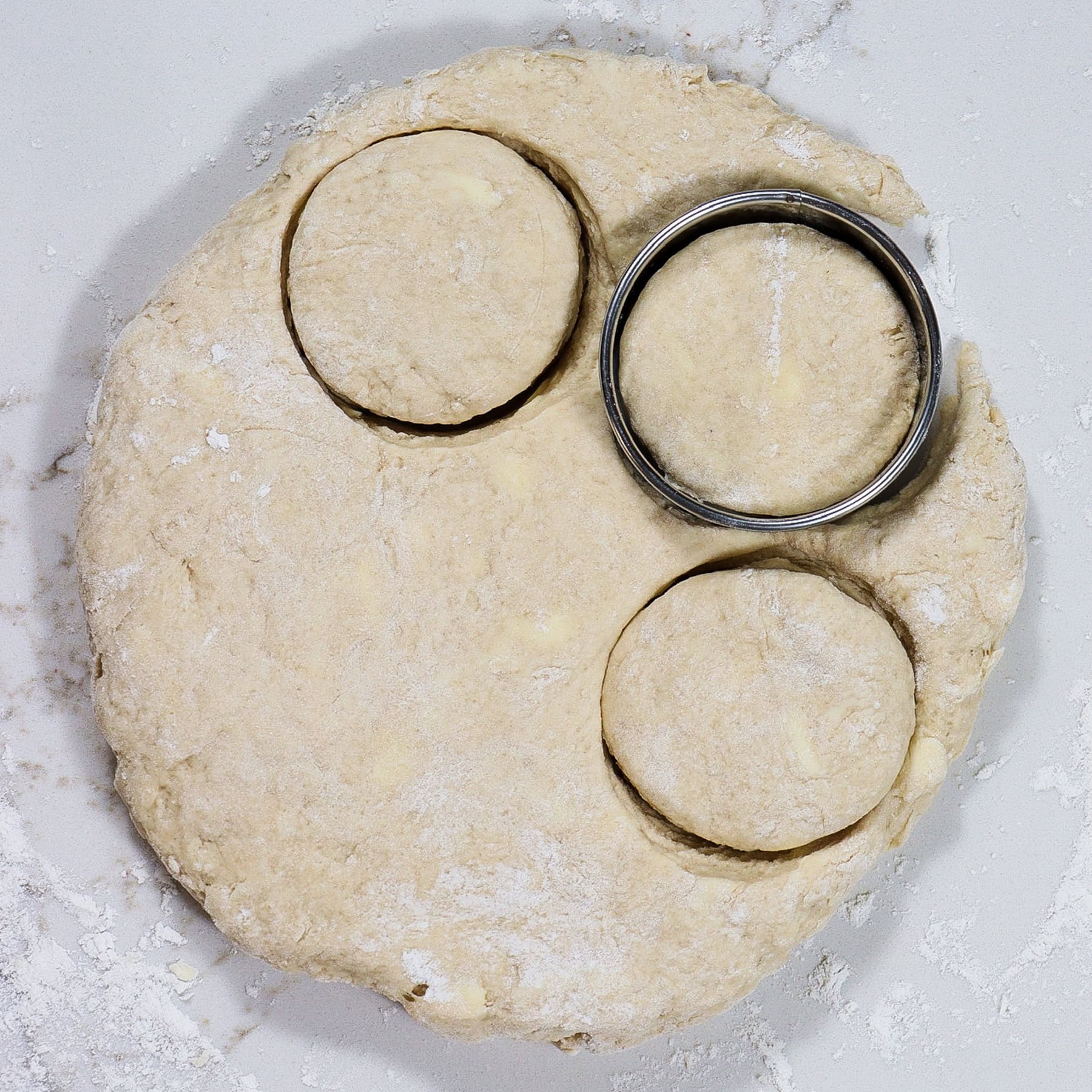 rolled out beer biscuit dough with biscuit cutter